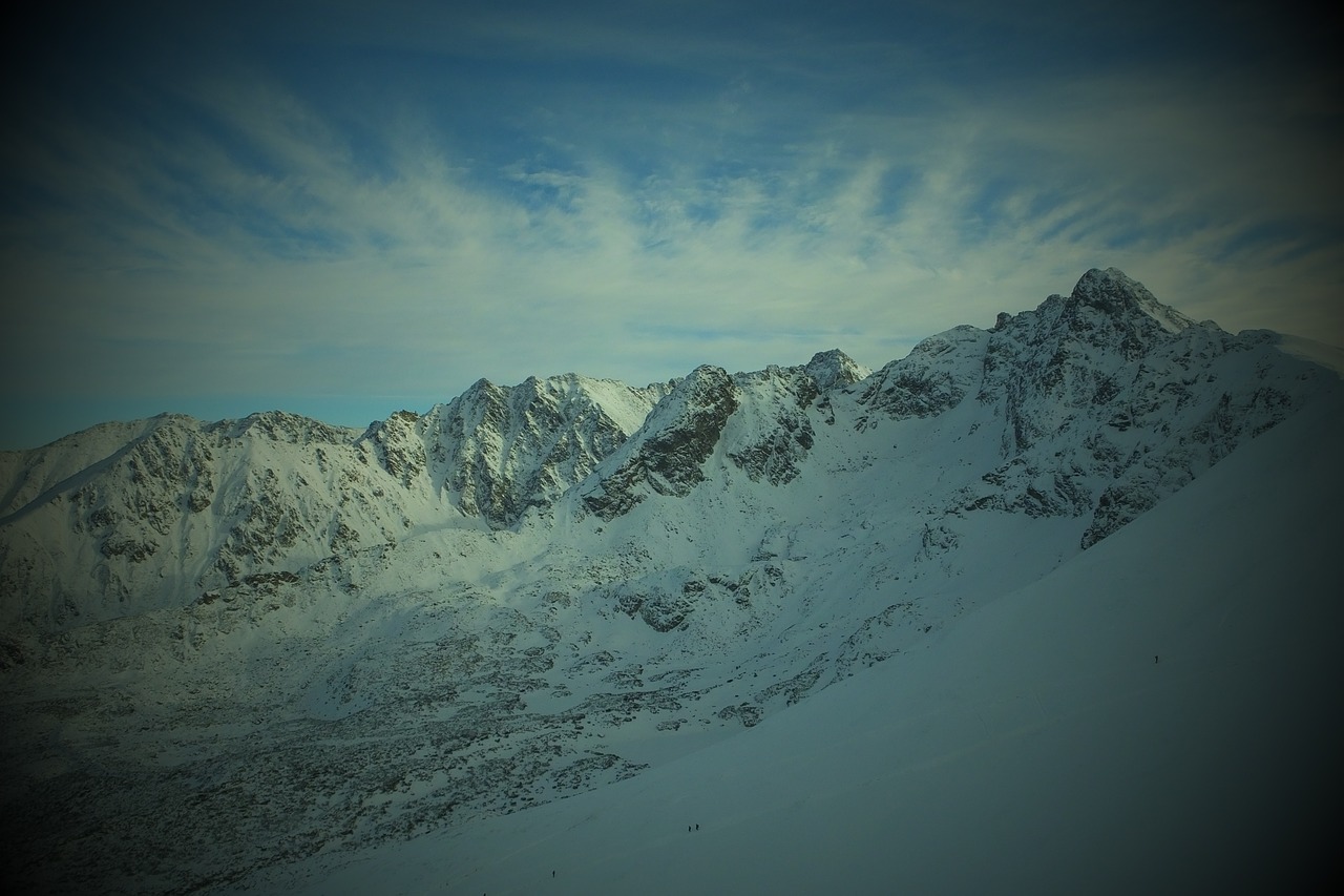 buried  top view  polish tatras free photo