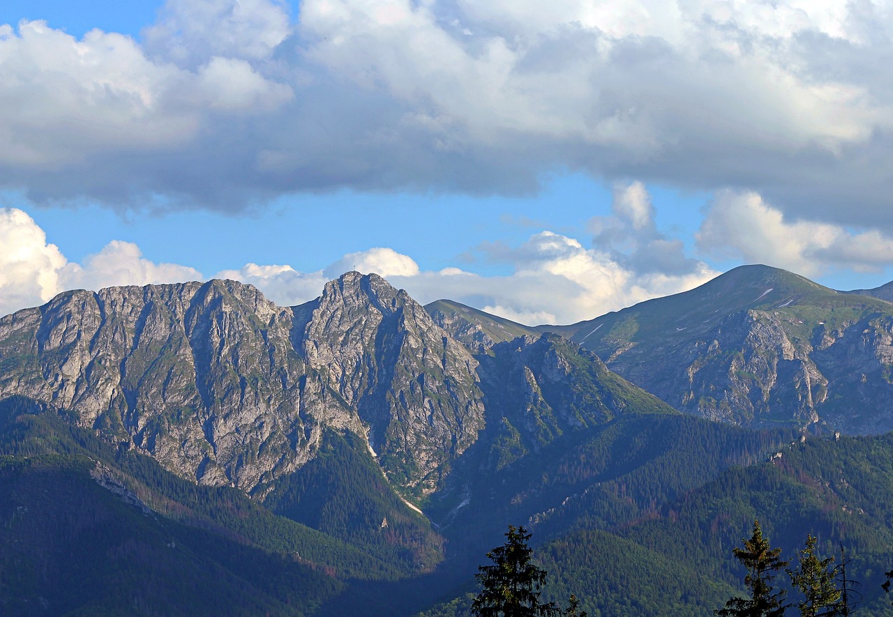 buried  poland  tatry free photo