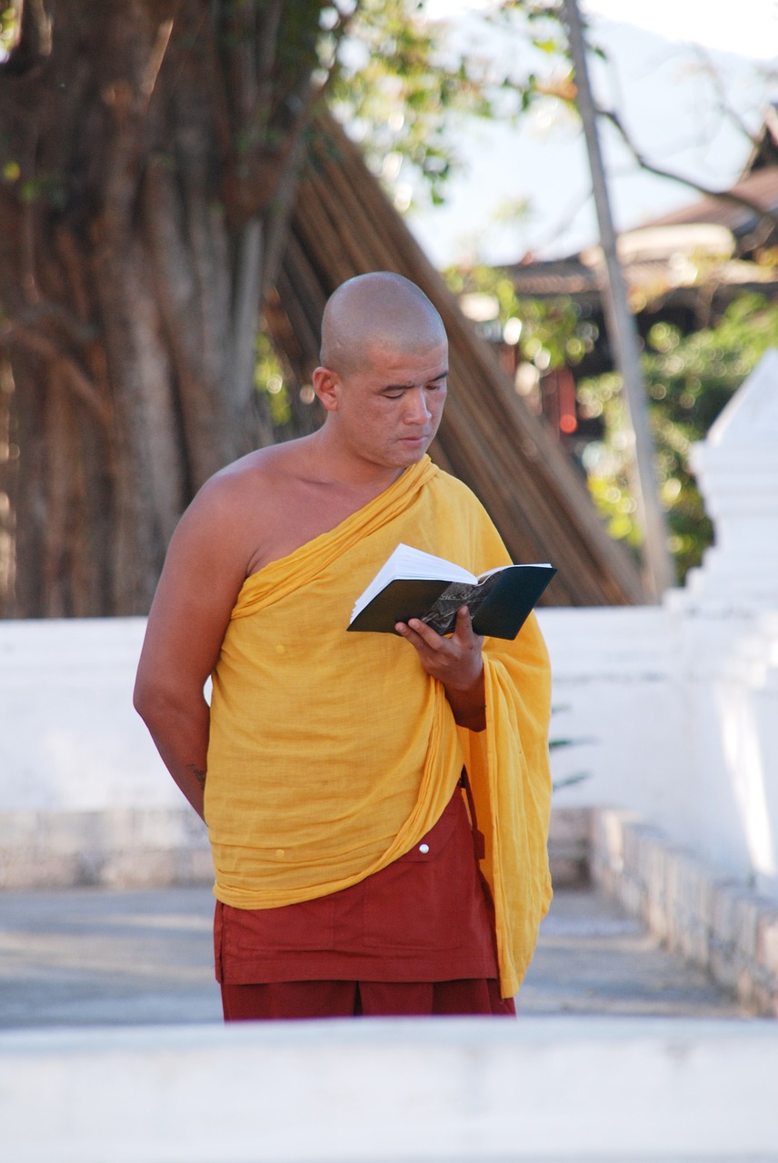 burma monk buddhist free photo