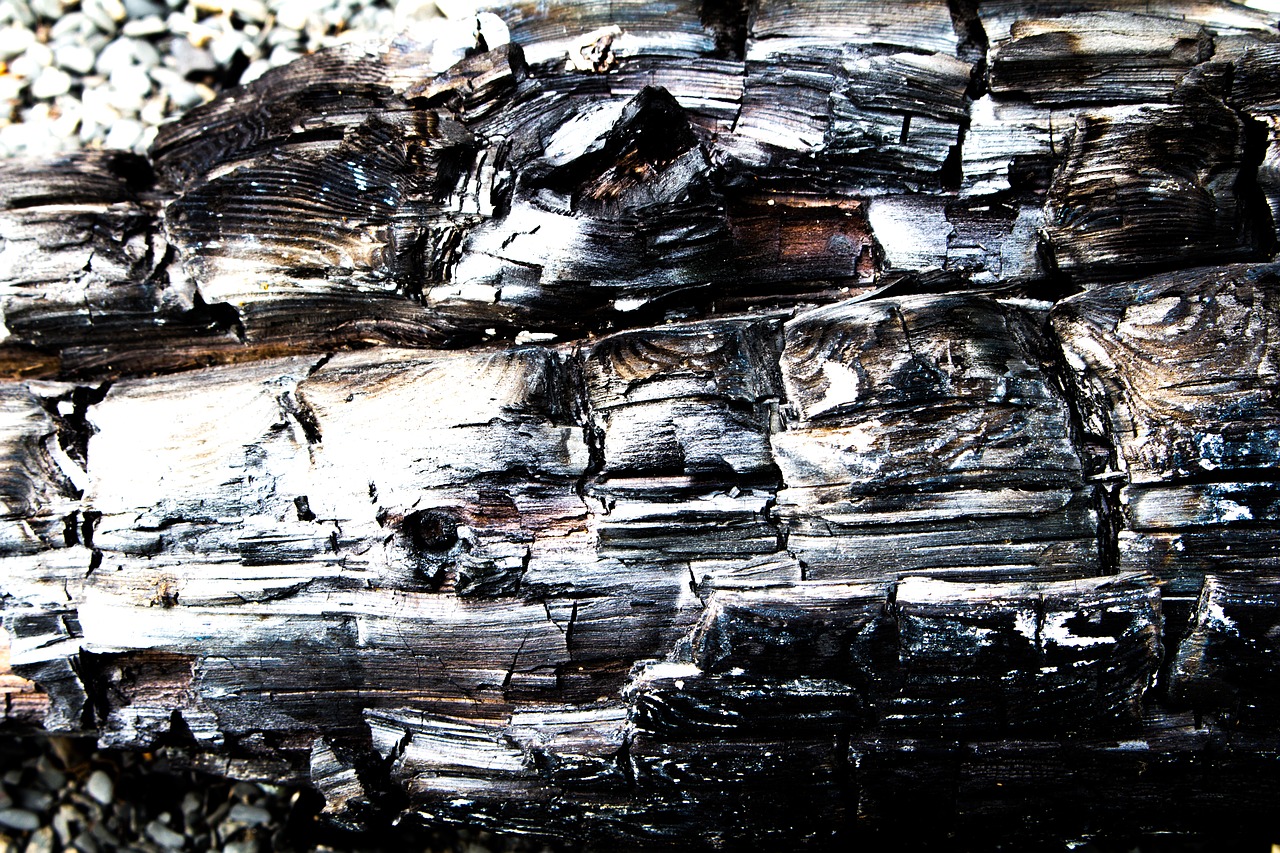 burned wood driftwood free photo