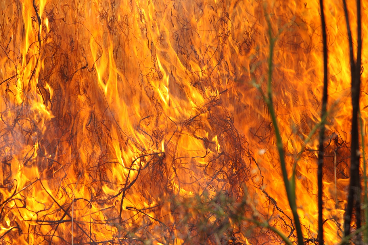 burning grass fire flames free photo