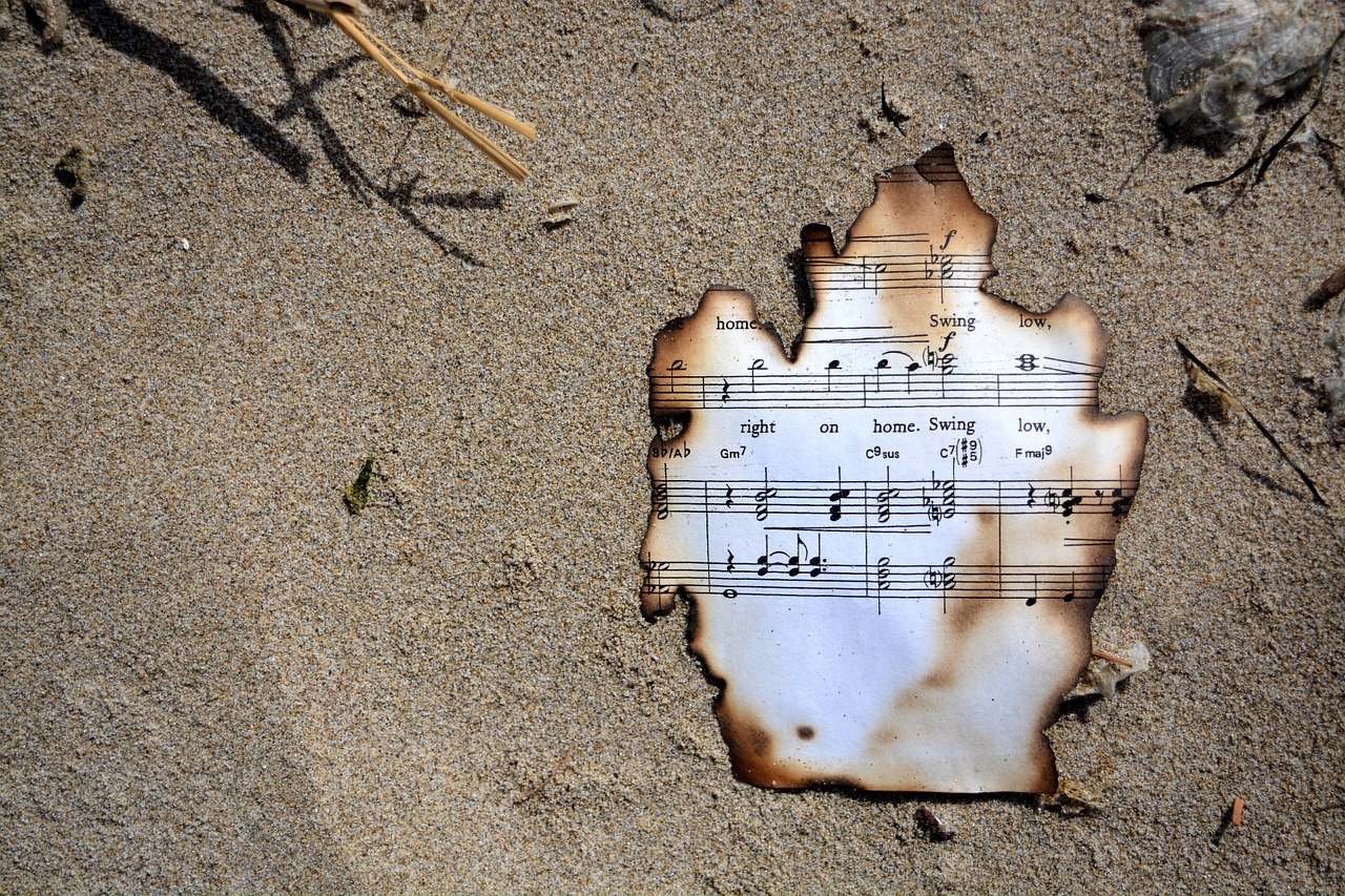 burnt music oregon cannon beach free photo