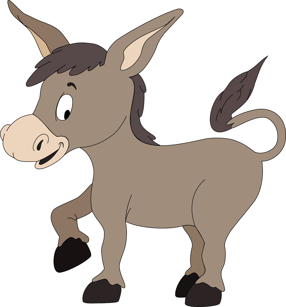 burro donkey jackass free photo
