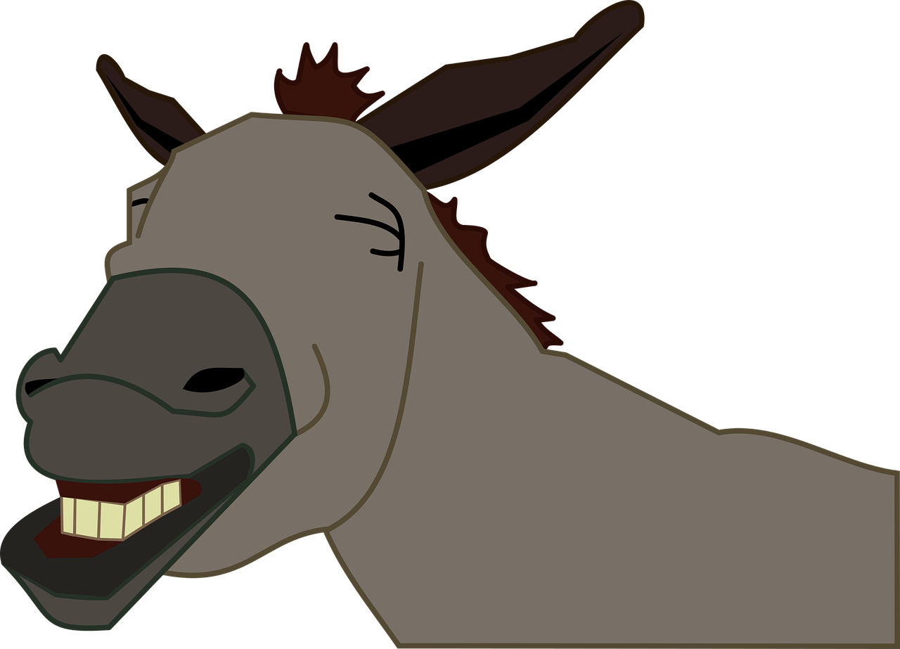 burro donkey jackass free photo