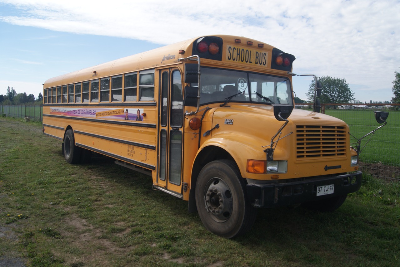 bus school yellow free photo