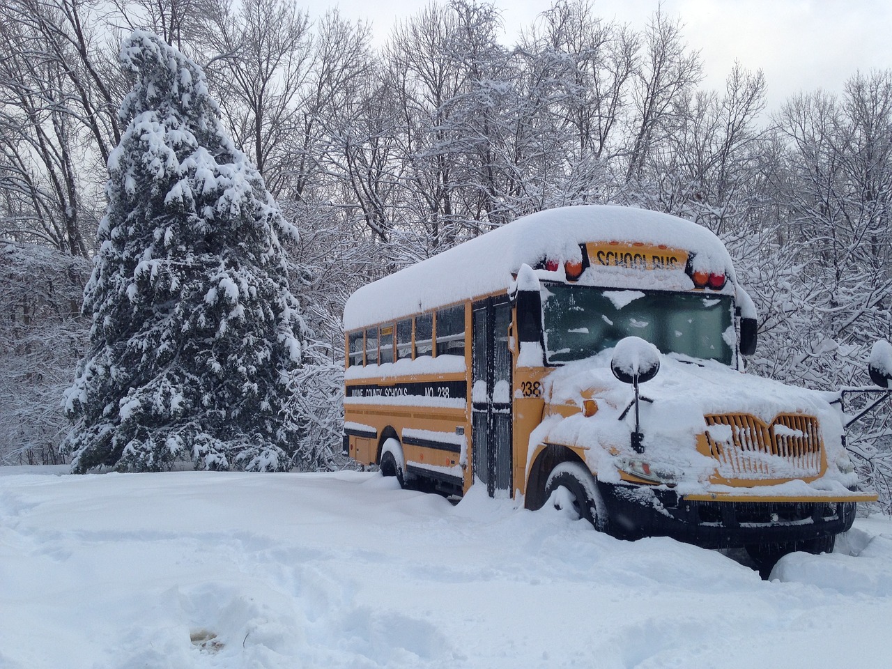 bus winter snow free photo