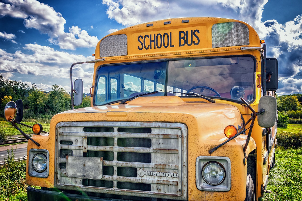 bus school bus vehicle free photo