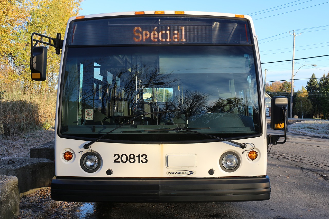 bus  transport  vehicle free photo