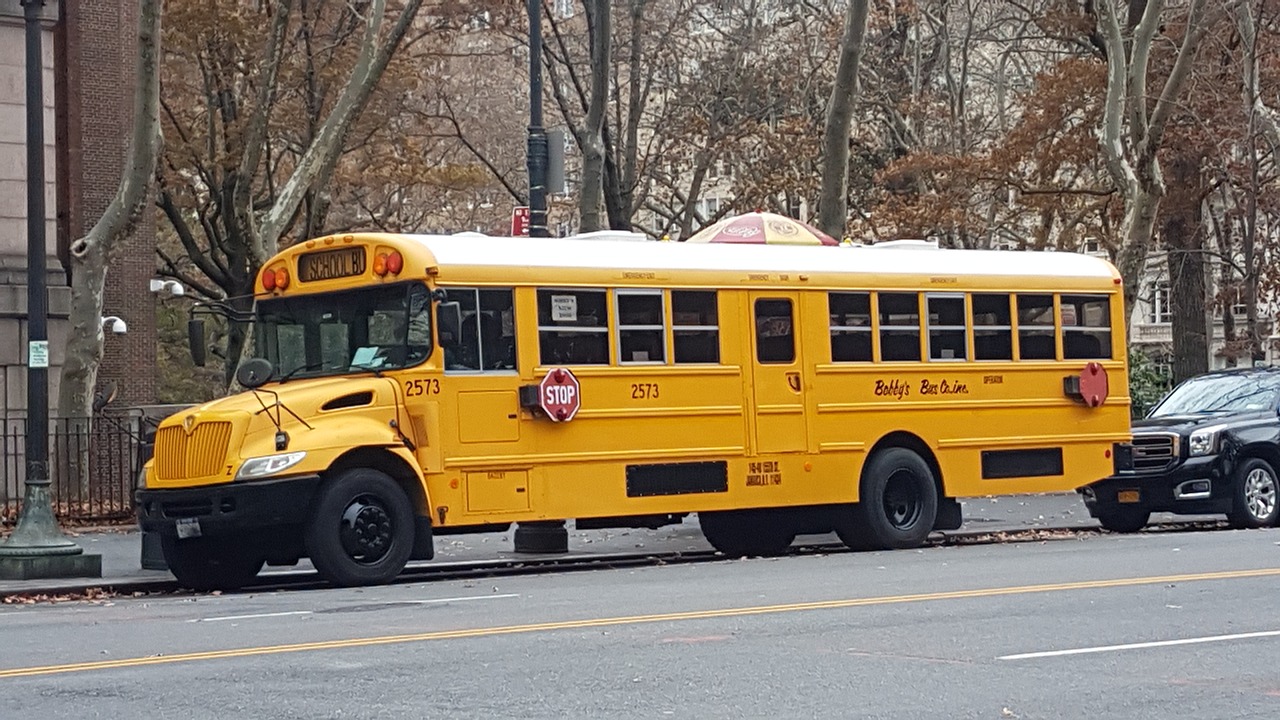 bus  new york city  school free photo