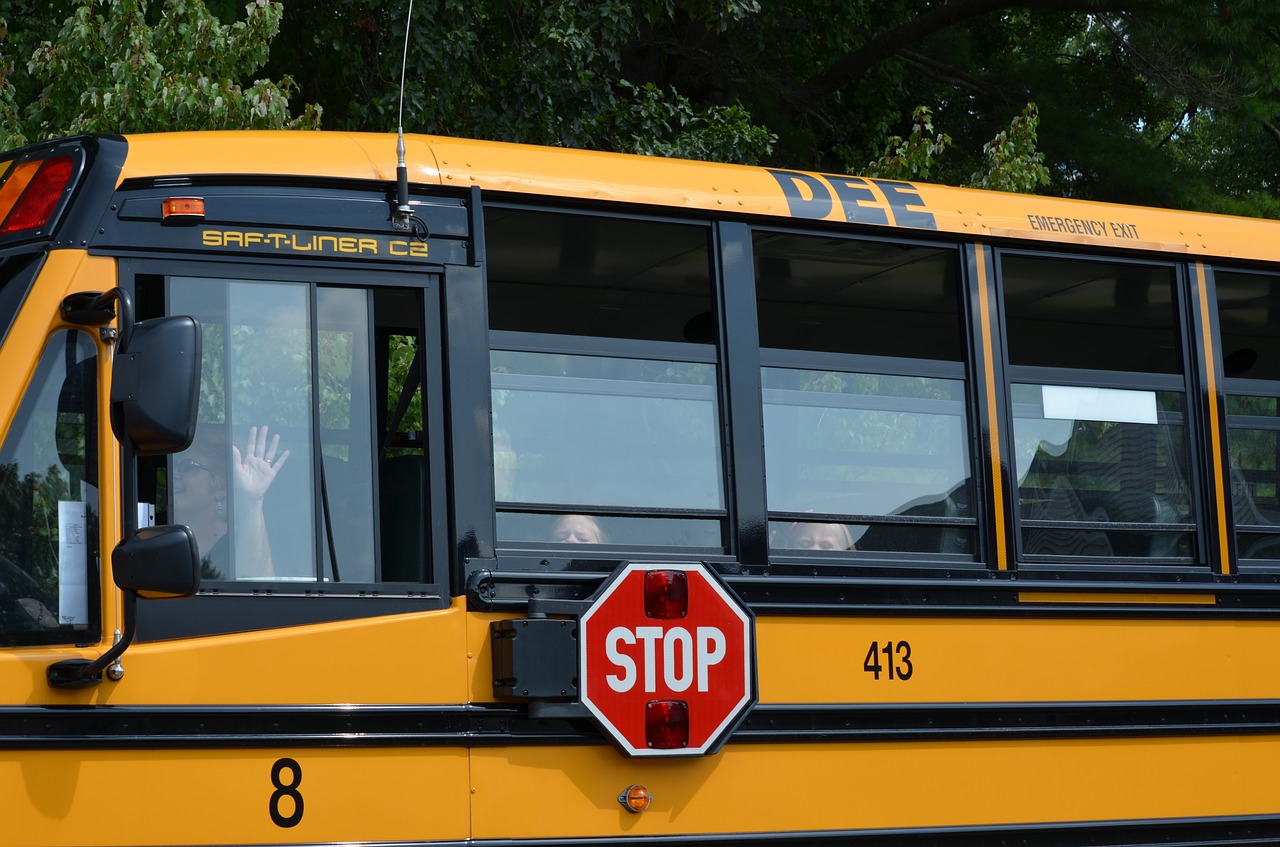 bus  wave  school free photo