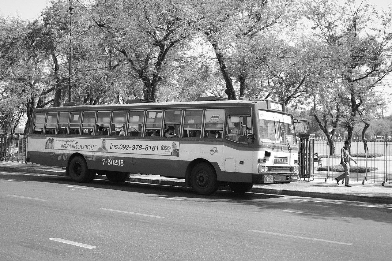 bus black white free photo