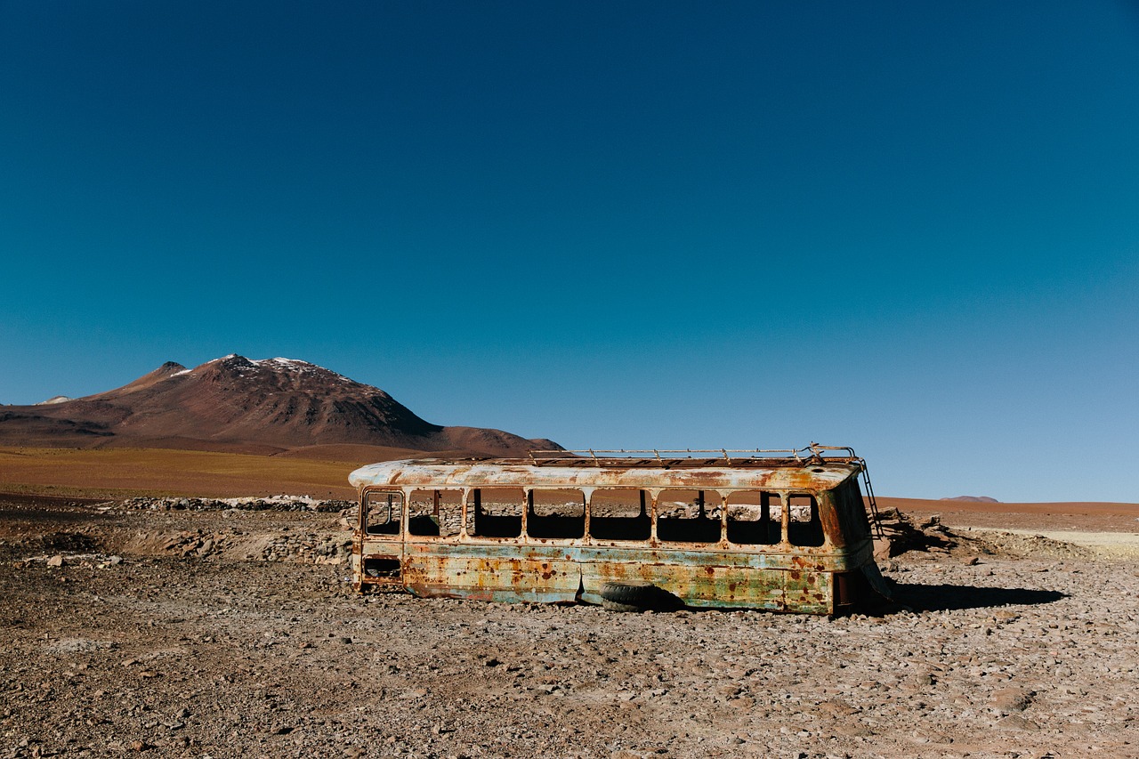 bus old in to the wild free photo