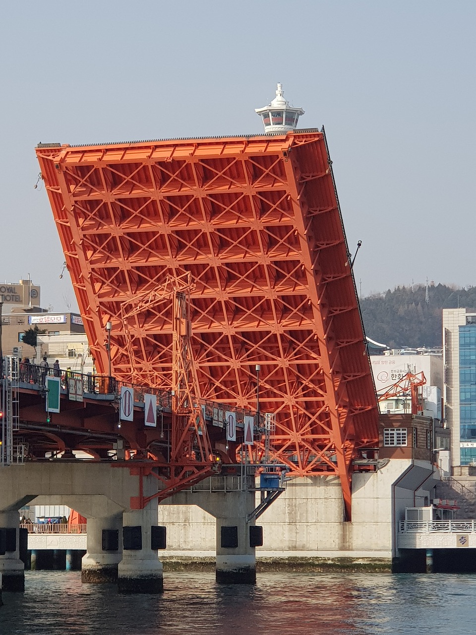 busan  bridge  landscape free photo