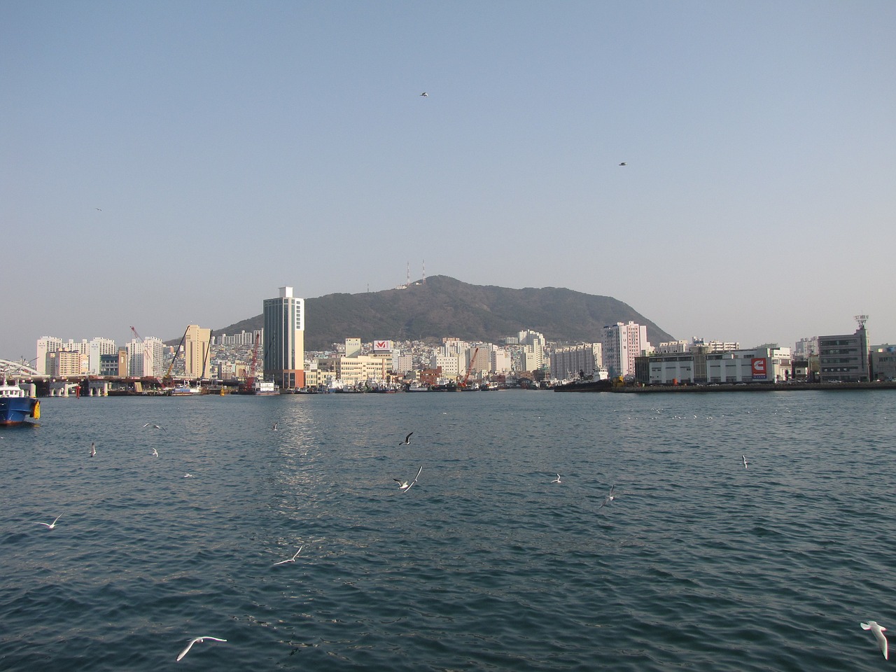 busan sea building free photo