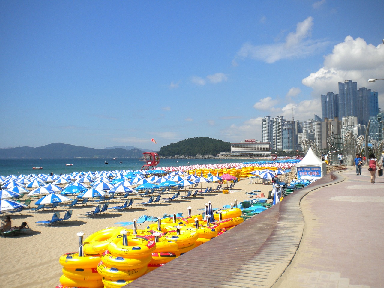 busan haeundae beach umbrellas free photo