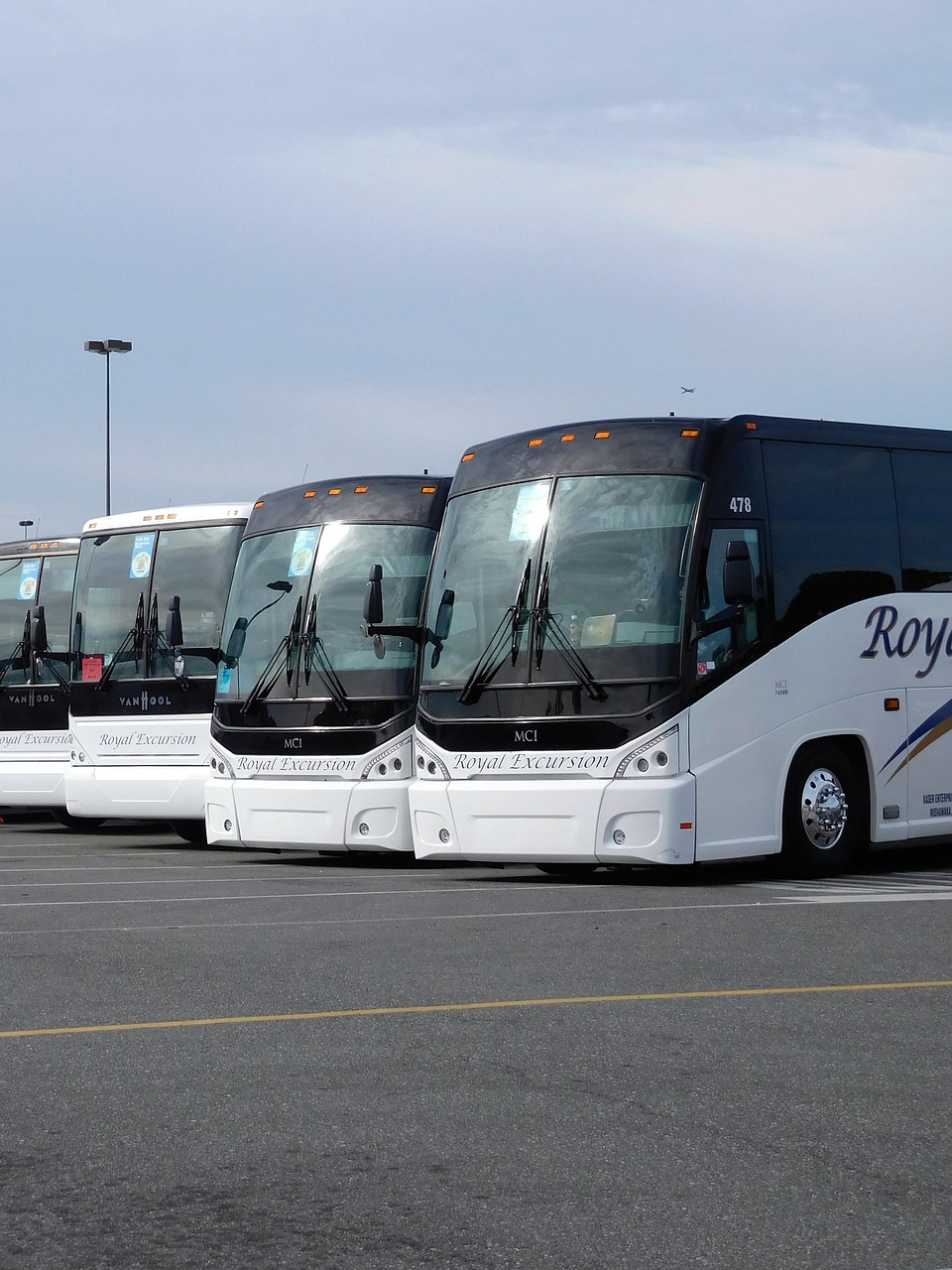 buses travel transportation free photo