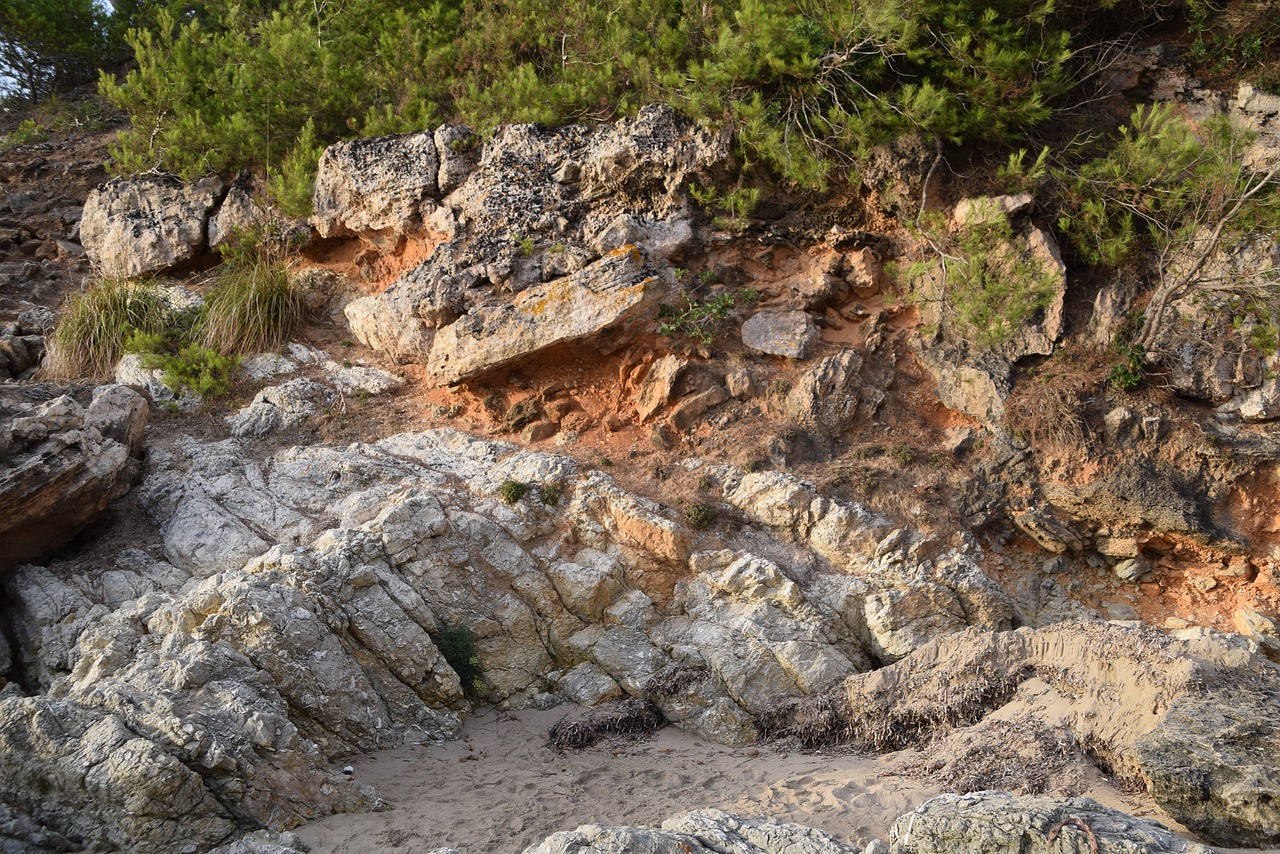 bush rock coast free photo