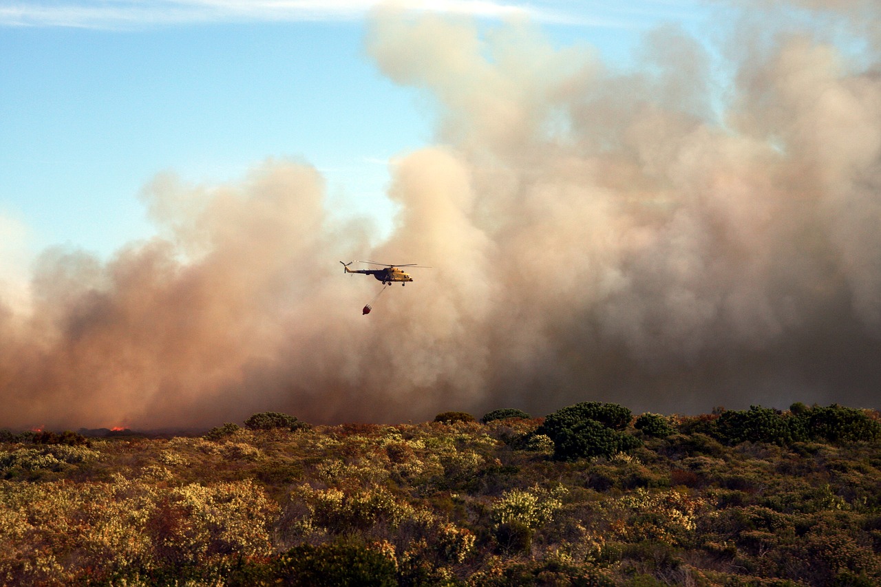 bush fire  helicopter  fire free photo