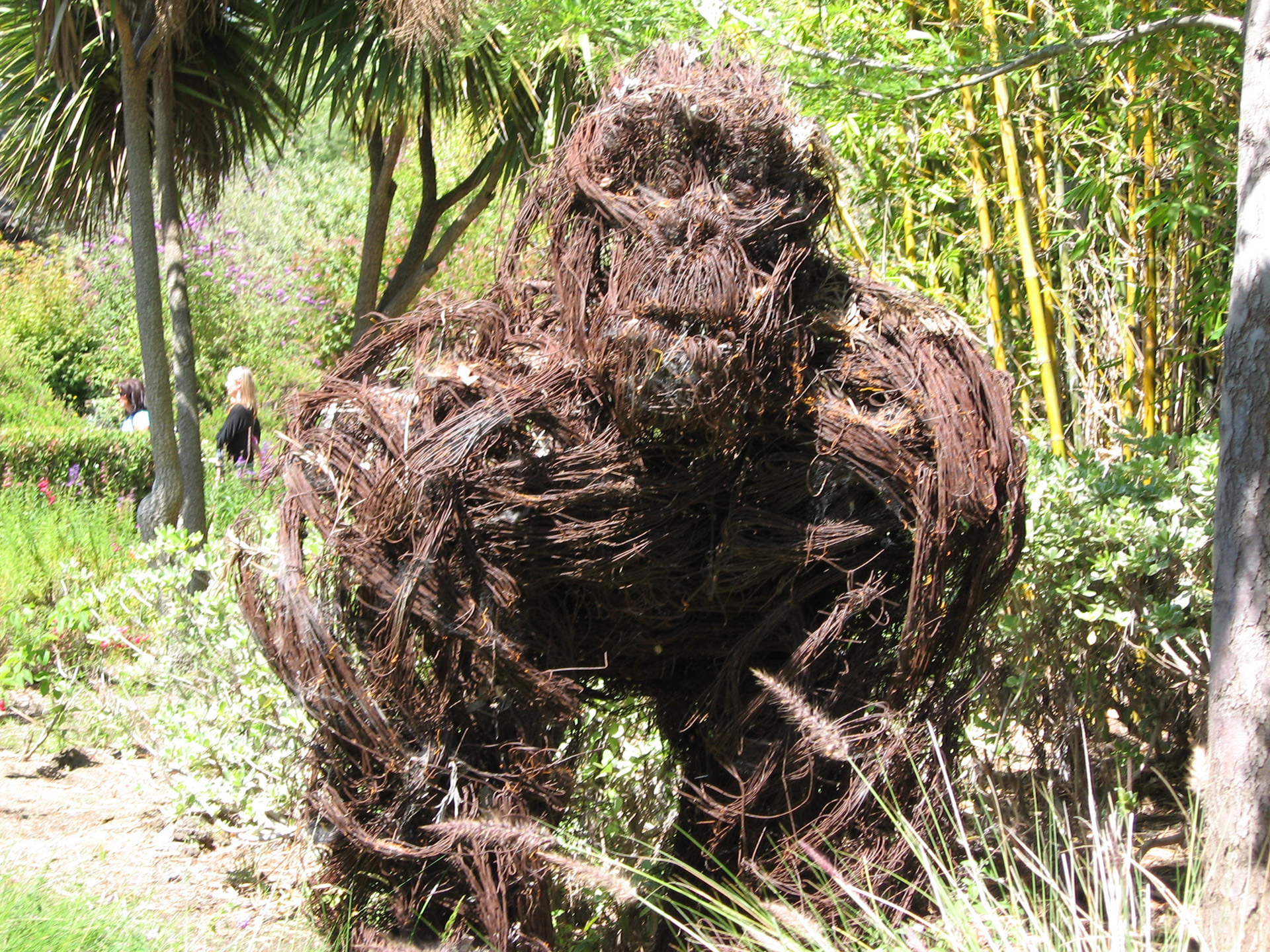 animals nature bush gorilla free photo