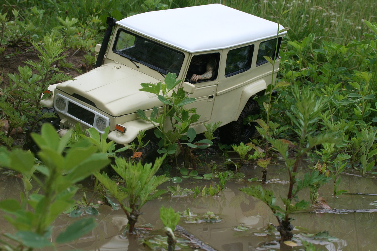 bush taxi  toyota  sacle crawler free photo