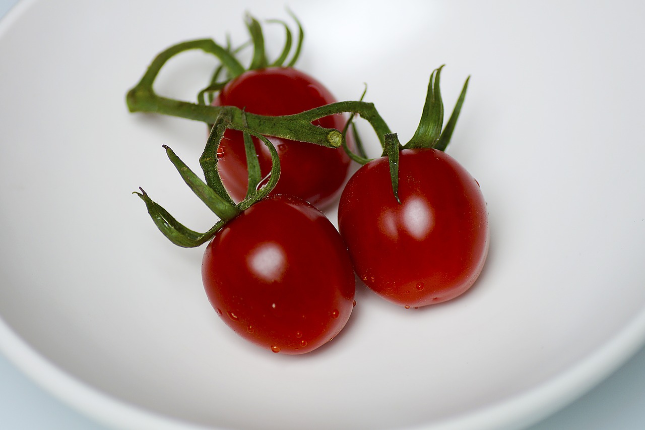 bush tomatoes bless you mediterranean free photo