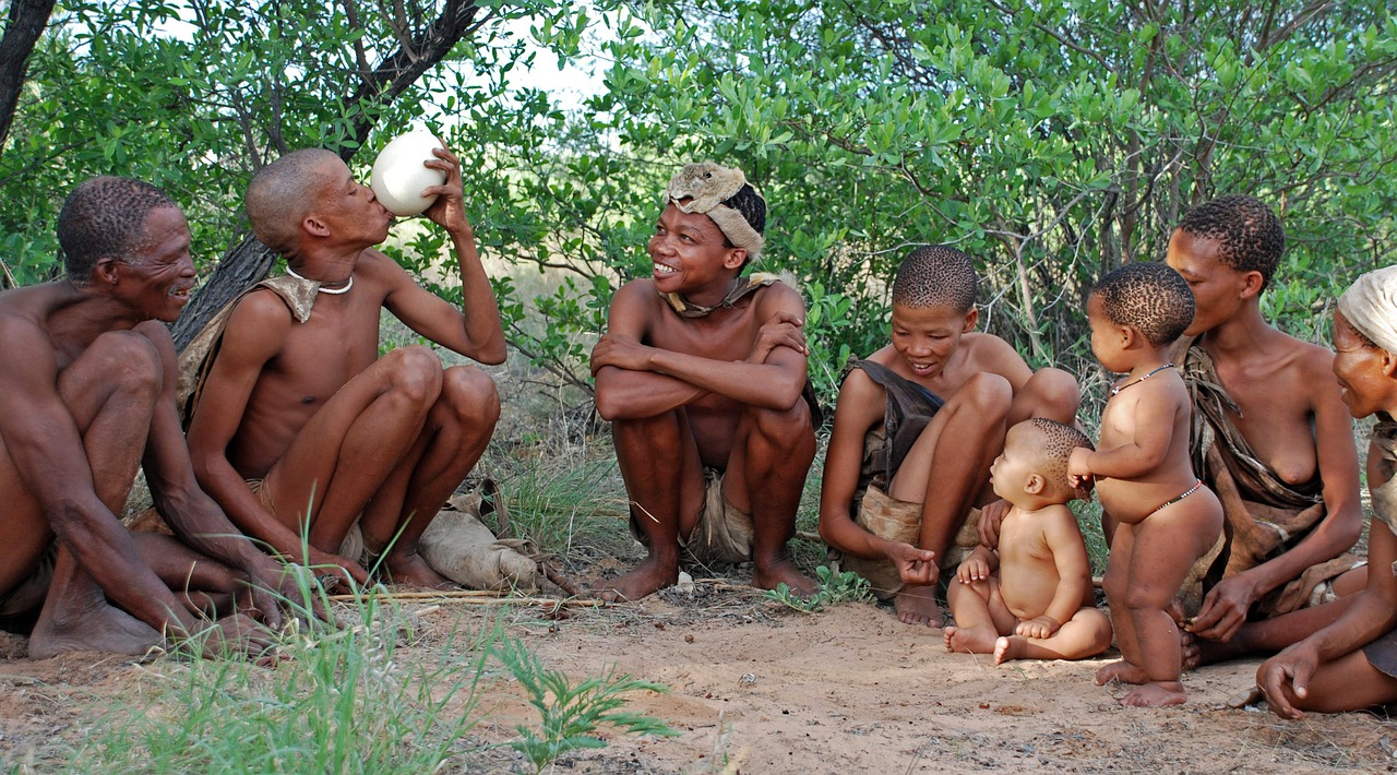 bushman indigenous people hunter gatherer free photo