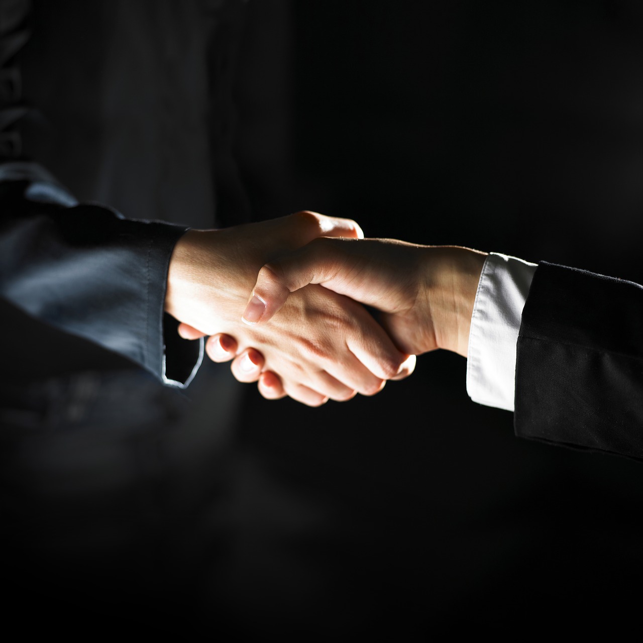 business cooperation handshake free photo
