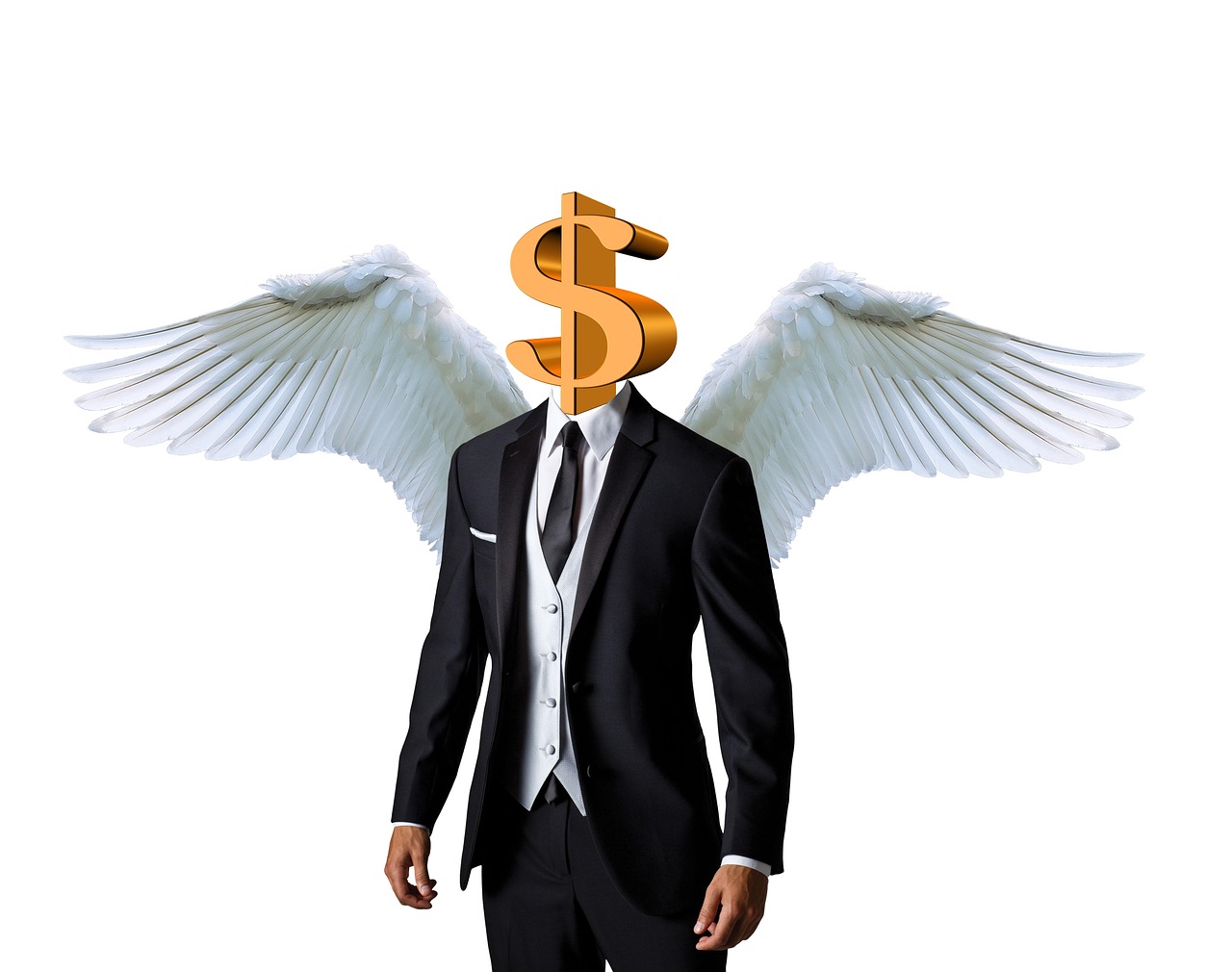 business angel  dollar  money free photo