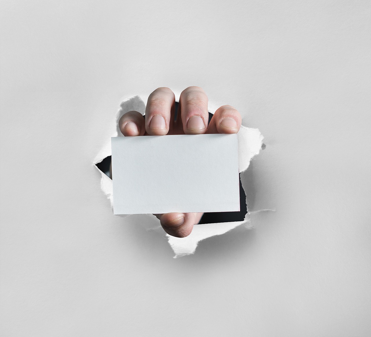 business card hand business free photo