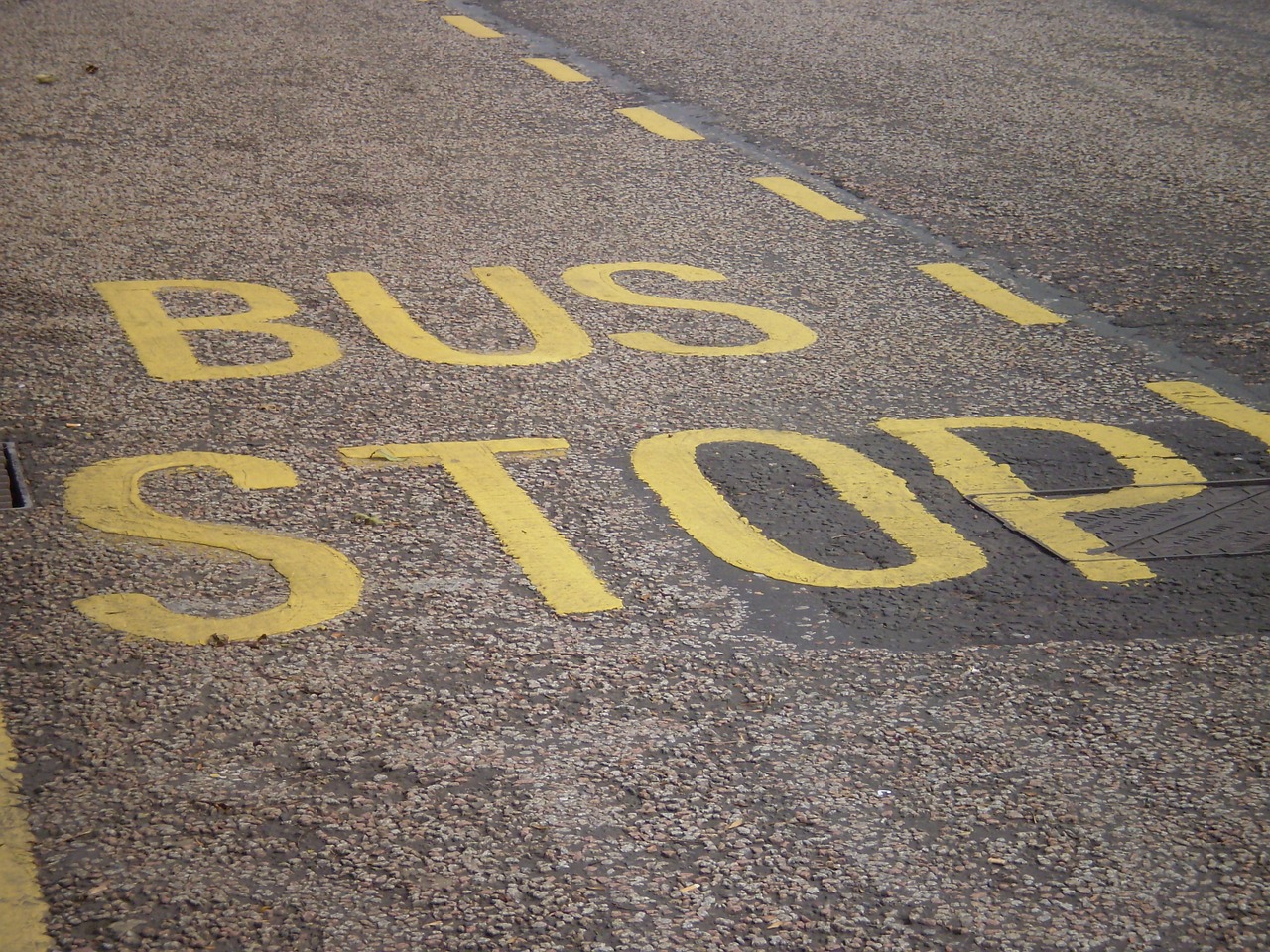 busstop bus stop free photo