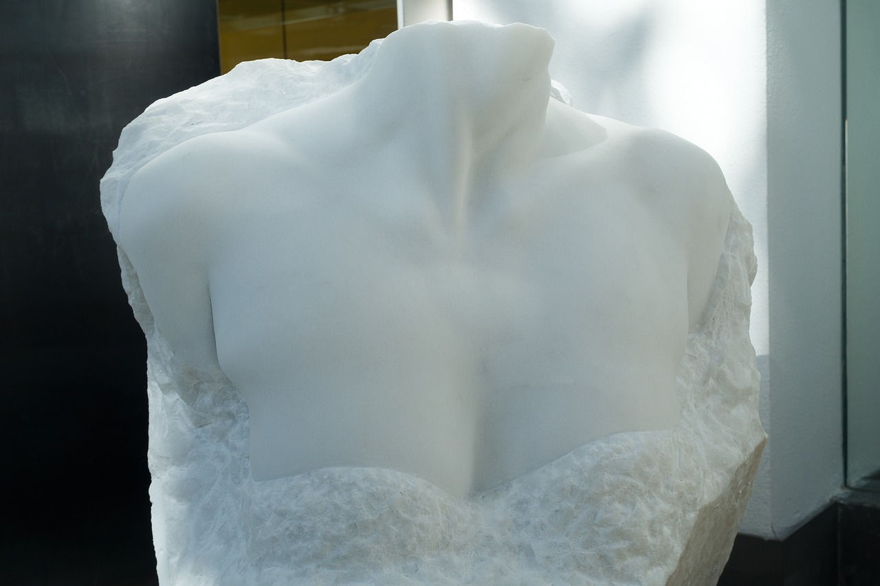 bust torso marble free photo