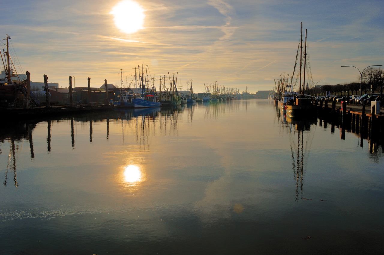 büsum  port  sunset free photo