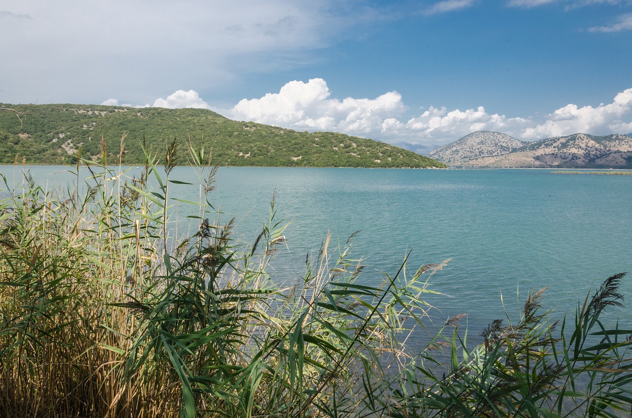 butrint  lake  butrintsee free photo