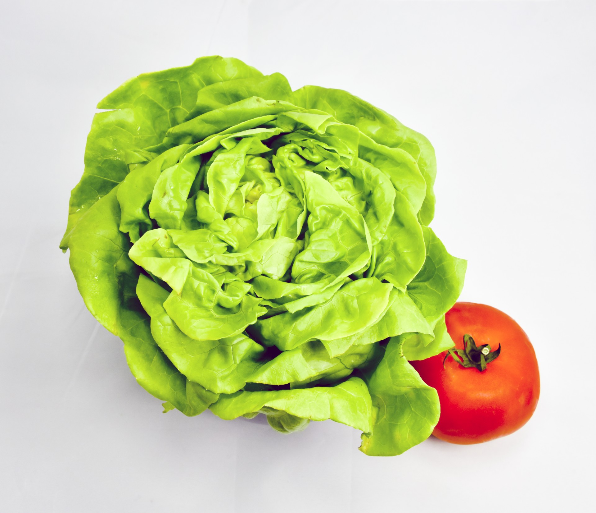 butter lettuce food free photo