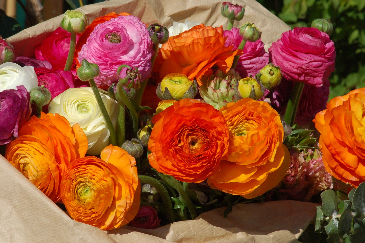 buttercups  bouquet of flowers  flowers free photo