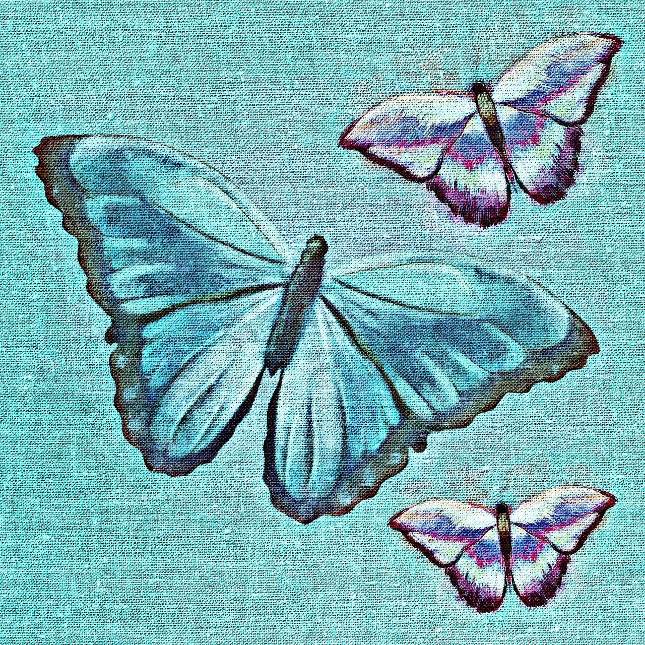 butterflies tissue fabric free photo