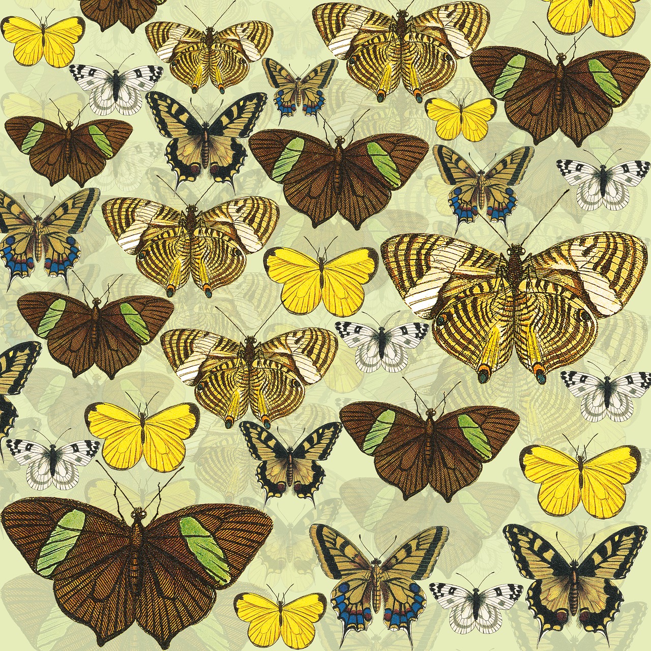 butterflies yellow scrapbook background free photo
