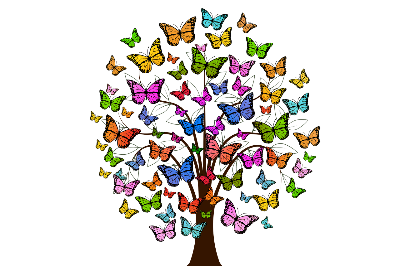 butterflies tree colorful free photo