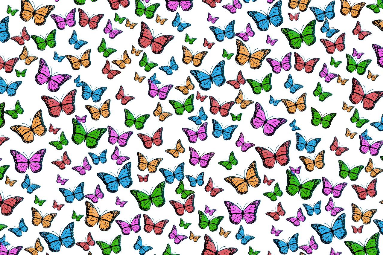 butterflies colorful pattern free photo