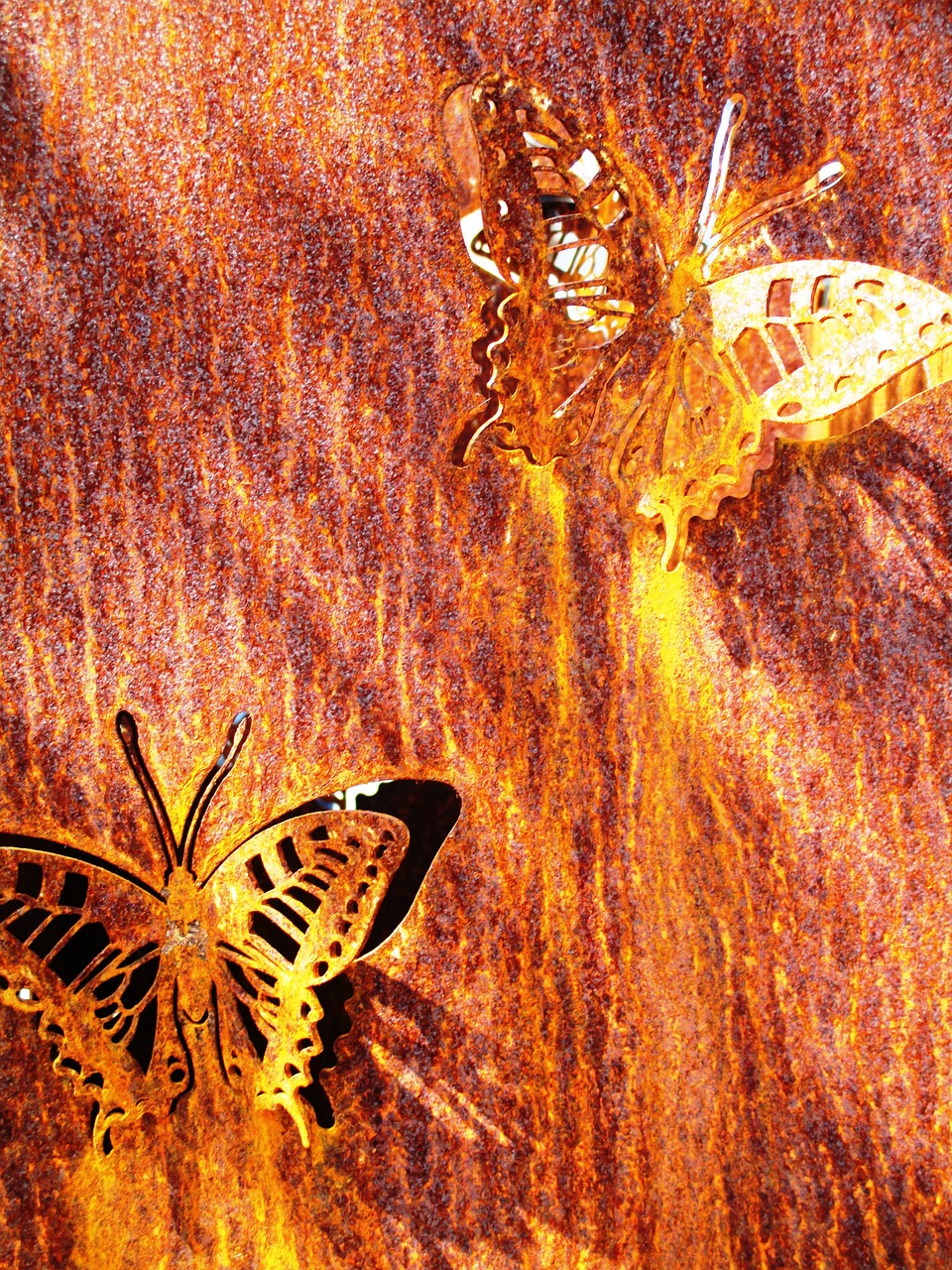 butterflies stainless artwork free photo