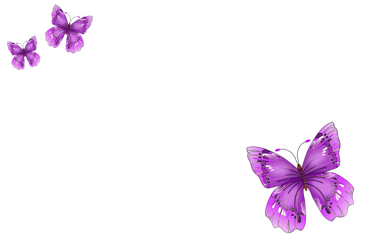 butterflies postkartenmotiv background free photo