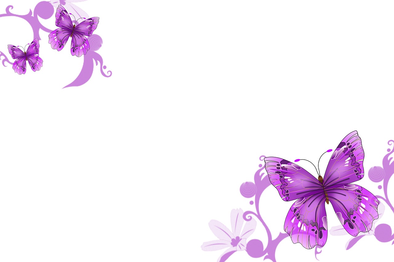 butterflies purple background free photo