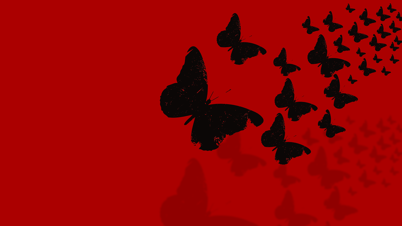butterflies background black free photo