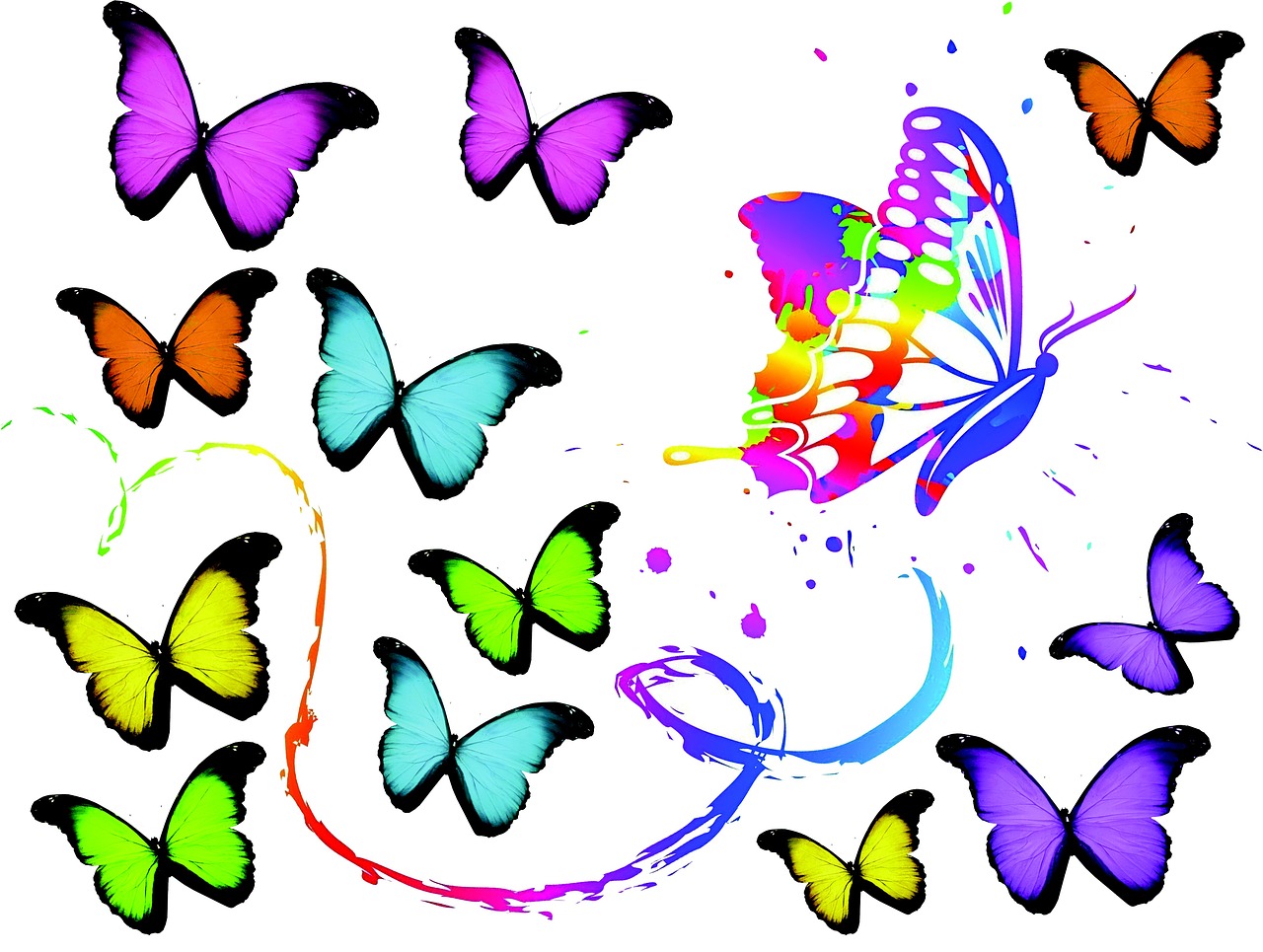 butterflies art color free photo