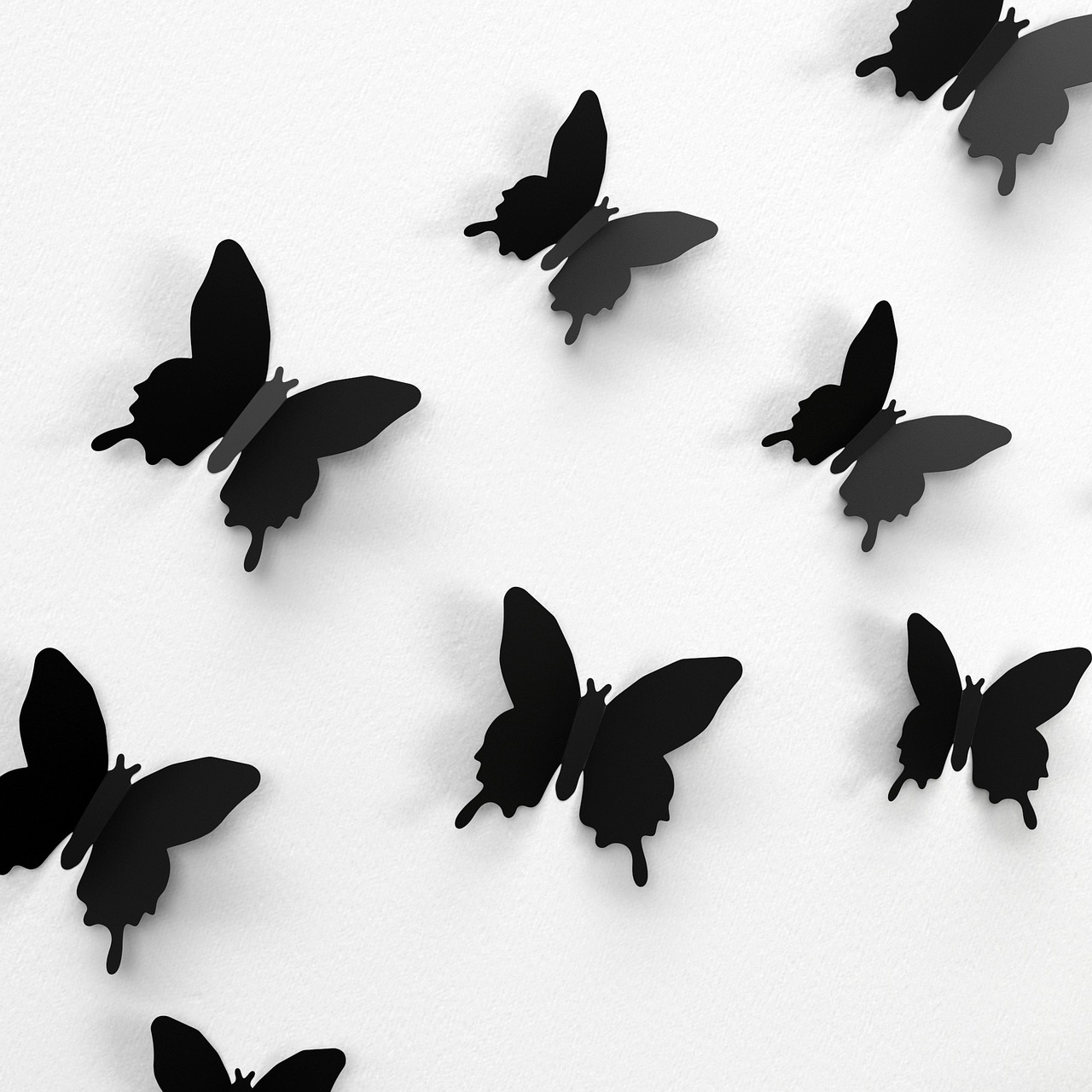 butterfly wall decoration free photo