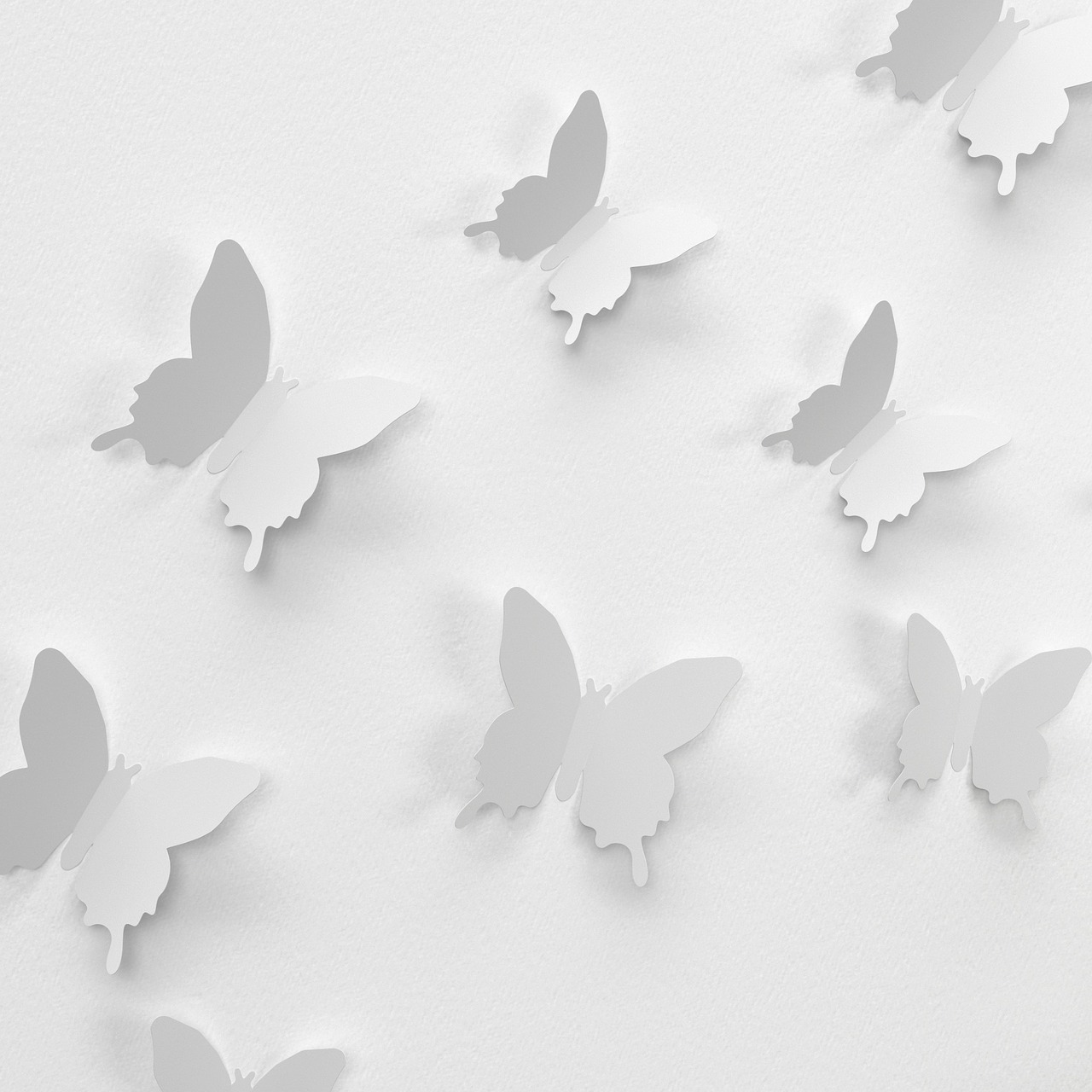 butterfly wall decoration free photo