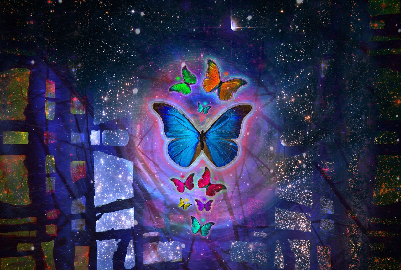 butterfly abstract colorful free photo
