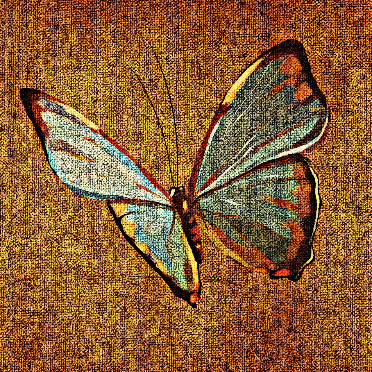 butterfly tissue structure free photo