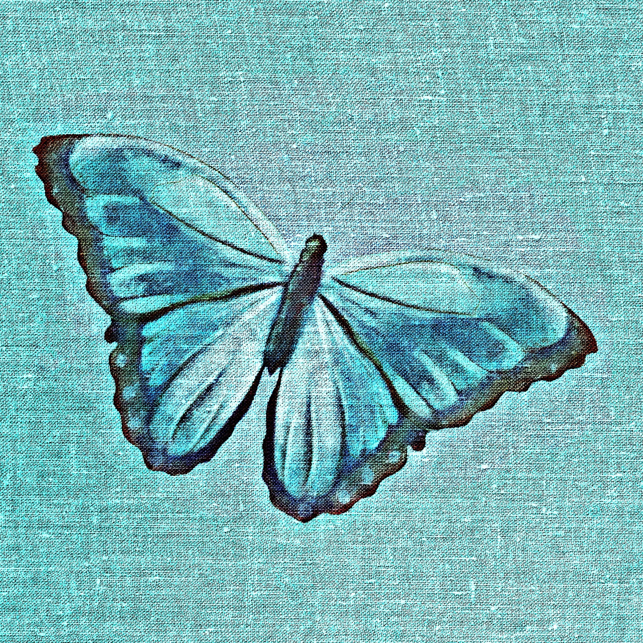 butterfly tissue fabric free photo