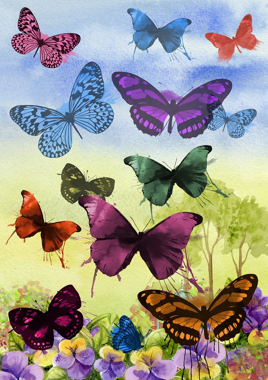butterfly painting art free photo